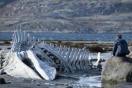 Американская киноакадемия примет четверых россиян