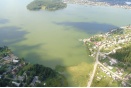 Сине-зеленые водоросли взялись за старое в Нижнем Тагиле