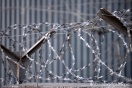 Экс-директора магнитогорского ДСУ отправили за решетку за мошенничество
