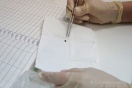 К делу о смерти тюменской школьницы от энцефалита подключились следователи