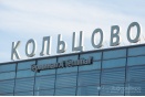 Птичий переполох в Кольцово