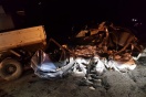 В Приморье виновник смертельного ДТП пустился в бега и попал под машину