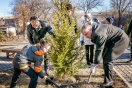 ММК с размахом взялся за озеленение Магнитогорска