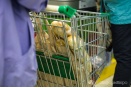 В России ликвидировали комиссию по мониторингу цен на продукты