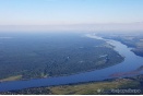 В Greenpeace рассказали о крупных проблемах российского леса