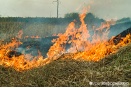 На Среднем Урале объявлено о высокой пожарной опасности
