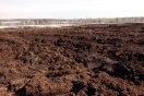 Следователи разбираются с морями куриного помета под Нижними Сергами
