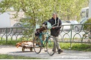 Российские чиновники хотят оставить "ленивых" бедных без пособий