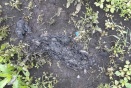 Заподозрили в воровстве: двое тюменцев облили знакомого бензином и подожгли