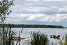 В Екатеринбурге провалился конкурс на реабилитацию Шарташа