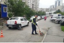 В Екатеринбурге 10-летний велосипедист попал под колеса иномарки