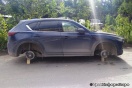 "Вообще ничего не боятся!" В Пионерском с машин массово снимают колеса
