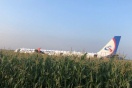 Огромное граффити в честь "чуда в кукурузном поле" появилось в Сургуте