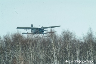 Кто мечтает полетать за грибами на "кукурузнике"?